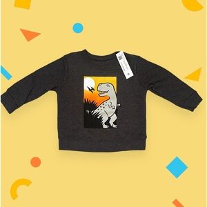 NWT!! Garanimals Dinosaur 🦖 Baby Sweatshirt